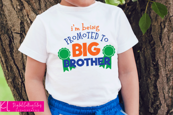 Reviewing the Big Brother Promotion Embroidery Design